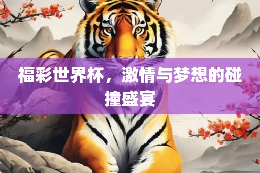 福彩世界杯，激情与梦想的碰撞盛宴