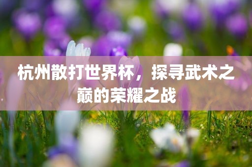 杭州散打世界杯，探寻武术之巅的荣耀之战