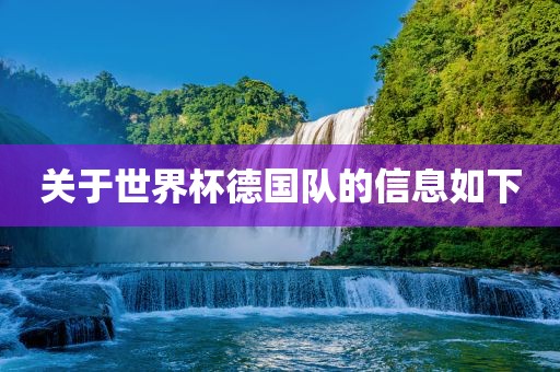 关于世界杯德国队的信息如下