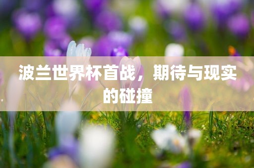 波兰世界杯首战，期待与现实的碰撞