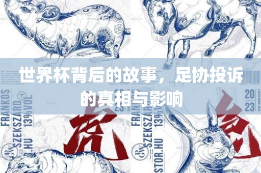 世界杯背后的故事，足协投诉的真相与影响
