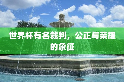 世界杯有名裁判，公正与荣耀的象广州鸿业环保设备有限公司征