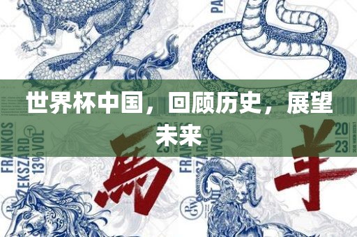 世界杯中国，回顾历史，展望未来