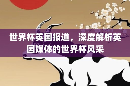 世界杯英国报道，深度解析英国媒体的世界杯风采