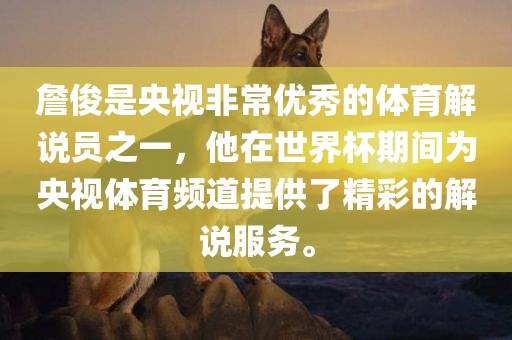 詹俊是央视非常优秀的体育解说员之一，他在世界杯期间为央视体育频道提供了精彩的解说服务。